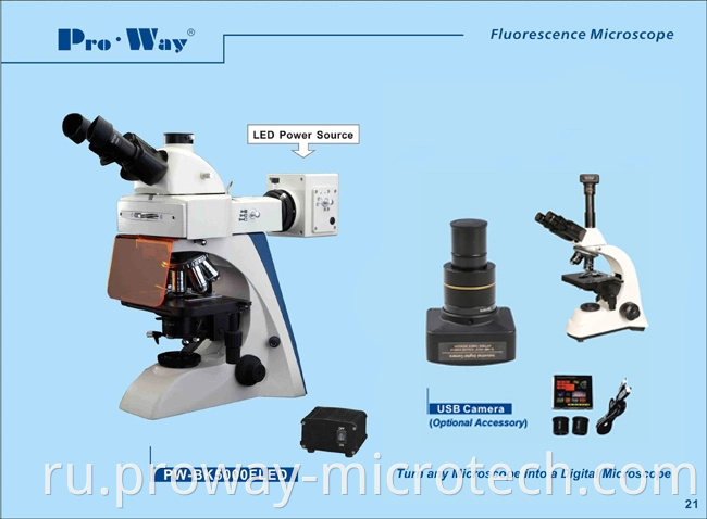 Профессиональный флуоресцентный биологический микроскоп (PW-BK5000FLED)